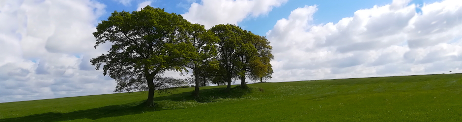 Open ground between Metfield Road & Christmas Lane